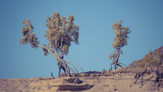 Sendelingsdrif, Namibia - GPS -28.194200, 16.846117 - Sony A6500 + SONY FE 100-400mm F4.5-5.6 G Master + SONY SEL14TC - 568mm - 1/100 - f/8.0 - ISO100