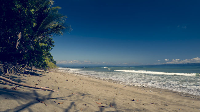 Agua Buena, Costa Rica - GPS 8.420240, -83.278880 - Panasonic Lumix GX8 + Panasonic Lumix G Vario 12-35mm/2,8 OIS - 24mm - 1/250 - f/8.0 - ISO200