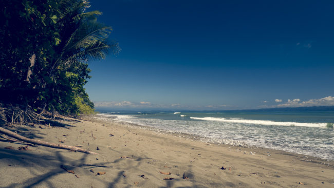 Agua Buena, Costa Rica - GPS 8.420240, -83.278880 - Panasonic Lumix GX8 + LUMIX G VARIO 12-35/F2.8 - 24mm - 1/250 - f/8.0 - ISO200