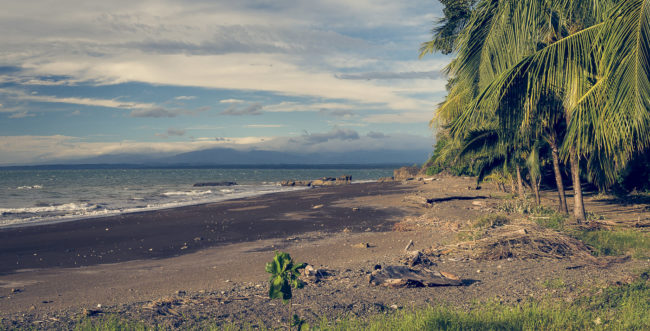 Agujas, Costa Rica - GPS 9.726667, -84.650833 - Panasonic Lumix GX8 + Panasonic Lumix G Vario 12-35mm/2,8 OIS - 48mm - 1/160 - f/8.0 - ISO200