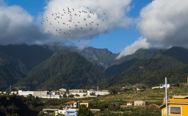 Santa Cruz de La Palma, Spain - GPS 28.695488, -17.760678 - Panasonic GH4 + Panasonic Lumix G Vario 12-35mm/2,8 OIS - 70mm - 1/250 - f/8.0 - ISO200