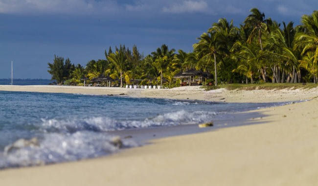 Labonté, Mauritius - GPS -20.451537, 57.313028 - Canon EOS 7D + Canon EF 70-200mm f/4 USM L IS -  - 1/800 - f/4.0 - ISO100