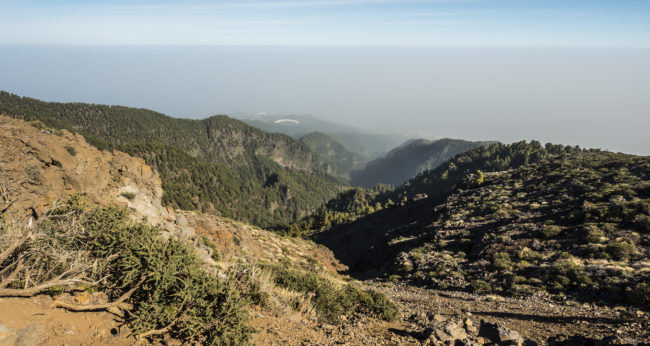 Orotava, Spain - GPS 28.751488, -17.835158 - Panasonic GH4 + Olympus M.Zuiko ED 9-18mm 4.0-5.6 - 20mm - 1/320 - f/7.1 - ISO200
