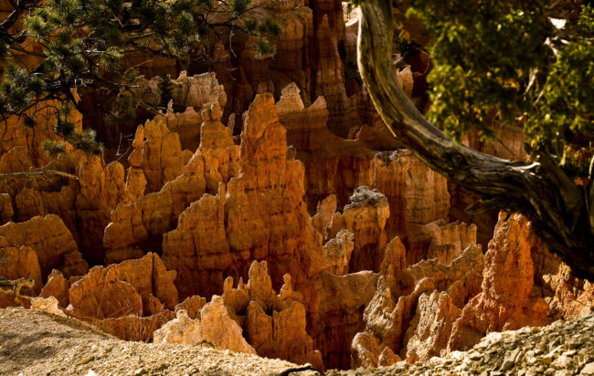 Bryce Canyon, United States - GPS 37.622517, -112.165862 - Canon EOS 7D + Sigma AF 24-70mm f/2.8 EX DG macro -  - 1/60 - f/7.1 - ISO100