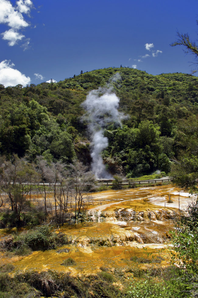 Waimangu, New Zealand - GPS -38.279153, 176.409338 - Canon EOS 20D + Canon EF-S 17-85mm f/4-5.6 IS USM -  - 0/1 - f/8.0 - ISO100