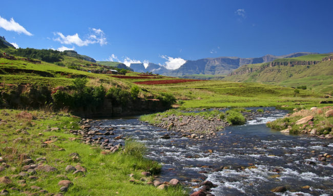 Grantleigh, South Africa - GPS -28.847287, 29.656488 - Canon EOS 20D + Canon EF-S 17-85mm f/4-5.6 IS USM -  - 0/1 - f/8.0 - ISO100