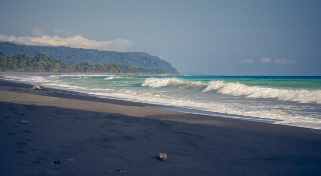 Carate, Costa Rica - GPS 8.439242, -83.450605 - Panasonic Lumix DMC-GH5 + LEICA DG 100-400/F4.0-6.3 - 214mm - 1/2000 - f/4.1 - ISO800