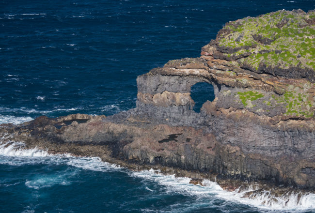 La Verada, Spain - GPS 28.815275, -17.971547 - Panasonic GH4 + Panasonic Lumix G Vario 100-300mm f4.0-5.6 OIS - 200mm - 1/250 - f/5.0 - ISO200