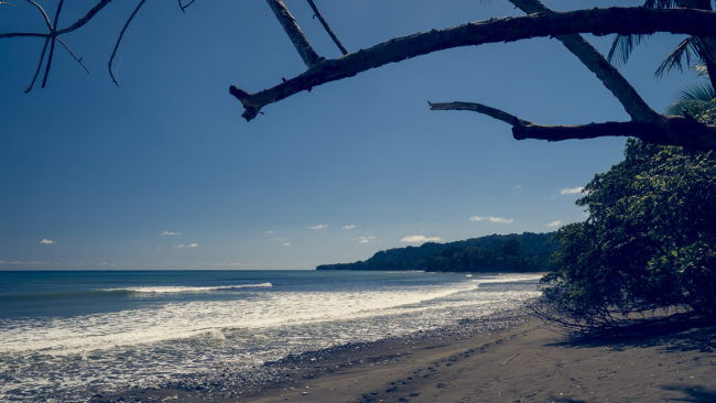 Agua Buena, Costa Rica - GPS 8.420342, -83.278782 - Panasonic Lumix GX8 + Panasonic Lumix G Vario 12-35mm/2,8 OIS - 24mm - 1/500 - f/8.0 - ISO200