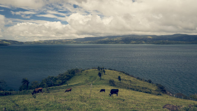 San Luis, Costa Rica - GPS 10.514827, -84.933293 - Panasonic Lumix DMC-GH5 + LUMIX G VARIO 12-35/F2.8 - 24mm - 1/125 - f/8.0 - ISO100