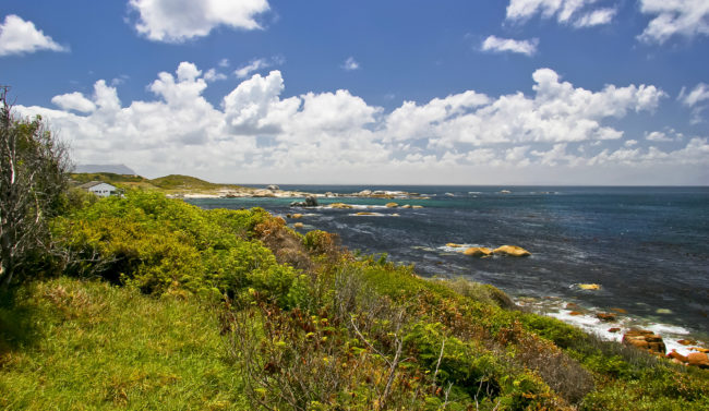 Rocklands, South Africa - GPS -34.237003, 18.475100 - Canon EOS 20D + Canon EF-S 17-85mm f/4-5.6 IS USM -  - 0/1 - f/8.0 - ISO100