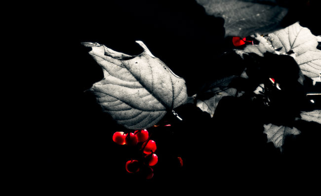 Jezerce, Croatia - GPS 44.888697, 15.609583 - Canon EOS 7D + Canon EF 70-200mm f/4 USM L IS -  - 1/60 - f/8.0 - ISO100