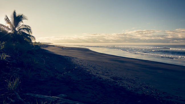 Playa Hermosa, Costa Rica - GPS 9.557937, -84.579982 - Panasonic Lumix DMC-GH5 + Panasonic LEICA DG SUMMILUX 12mm f1.4 - 24mm - 1/320 - f/3.5 - ISO100