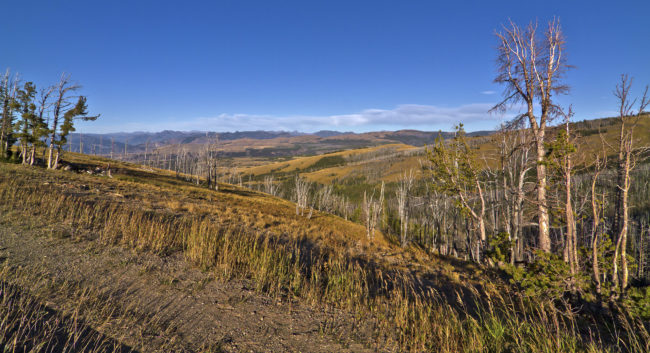 Mammoth, United States - GPS 44.853290, -110.736115 - Canon EOS 7D + Tokina AF 11-16mm f/2.8 AT-X Pro DX -  - 0/1 - f/9.0 - ISO100