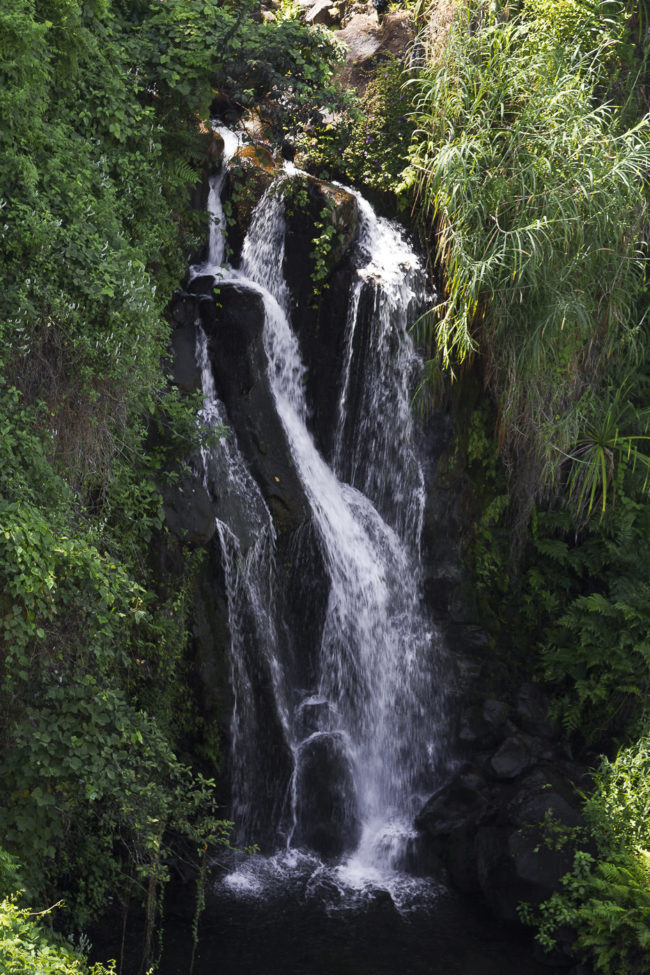 Wailua Ahupua`a, Hawaii - GPS 19.907247, -155.135840 - Canon EOS 7D + Canon EF 70-200mm f/4 USM L IS -  - 1/60 - f/4.0 - ISO100