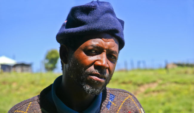 Lovemore Park, South Africa - GPS -34.013177, 25.531475 - Canon EOS 20D + Canon EF-S 17-85mm f/4-5.6 IS USM -  - 0/1 - f/8.0 - ISO100