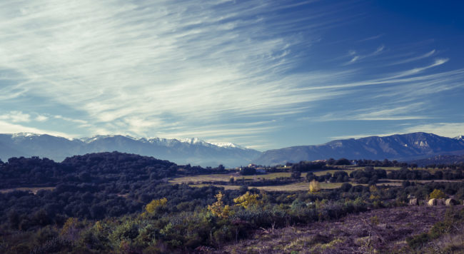 Arboussols, France - GPS 42.668702, 2.509013 - Panasonic GH4 + Panasonic Lumix G Vario 12-35mm/2,8 OIS - 38mm - 1/60 - f/8.0 - ISO200