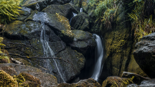 Meikle Kinord, United Kingdom - GPS 57.084638, -2.942830 - Panasonic Lumix DMC-GH5 + Panasonic Lumix G Vario 12-35mm/2,8 OIS - 70mm - 4/1 - f/22.0 - ISO100