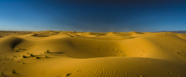 El Gouera, Morocco - GPS 29.931112, -6.326112 - Panasonic GH4 + Panasonic Lumix G Vario 12-35mm/2,8 OIS - 24mm - 1/500 - f/8.0 - ISO200