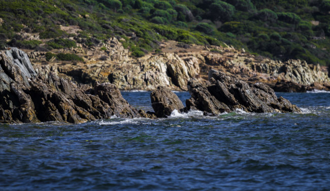 Campionna, Italy - GPS 38.915810, 8.776120 - Canon EOS 7D + Canon EF 70-200mm f/4 USM L IS -  - 1/250 - f/4.0 - ISO100