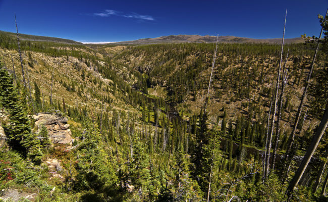 Canyon Village, United States - GPS 44.674147, -110.479888 - Canon EOS 7D + Tokina AF 11-16mm f/2.8 AT-X Pro DX -  - 0/1 - f/8.0 - ISO100