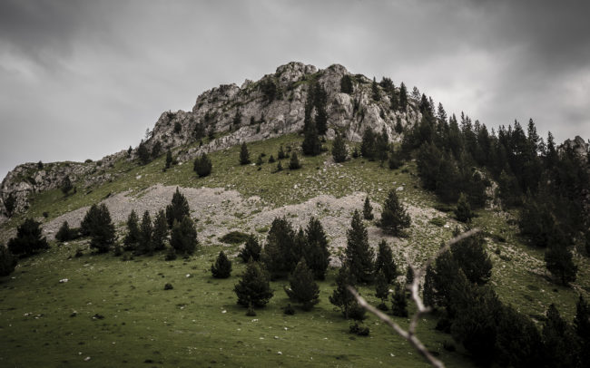 Saldes, Spain - GPS 42.268573, 1.715660 - Panasonic Lumix GX8 + LUMIX G VARIO 12-35/F2.8 - 50mm - 1/400 - f/2.8 - ISO200