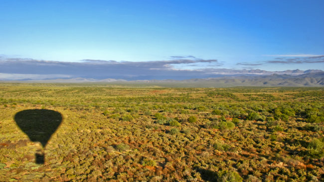 Wesbank, South Africa - GPS -33.550552, 22.138997 - Canon EOS 20D + Canon EF-S 17-85mm f/4-5.6 IS USM -  - 0/1 - f/8.0 - ISO100