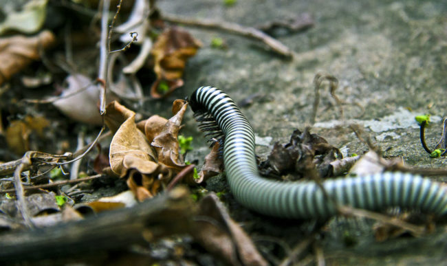 Rocklands, Swaziland - GPS -25.899307, 31.296932 - Canon EOS 20D + Canon EF-S 17-85mm f/4-5.6 IS USM -  - 1/100 - f/8.0 - ISO100