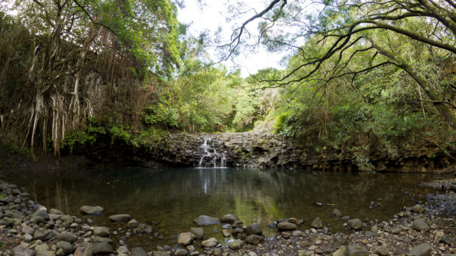 Mokupapa Ahupua`a, Hawaii - GPS 20.909535, -156.243942 - Canon EOS 7D + Sigma 17-50mm, F2,8 EX DC OS HSM -  - 4/10 - f/8.0 - ISO100