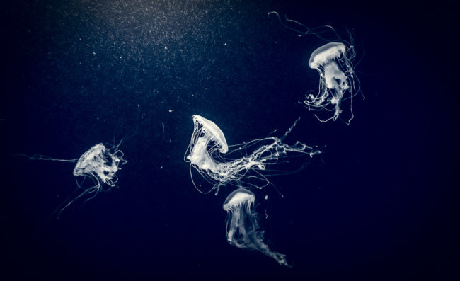 Santa Maria dos Olivais, Portugal - GPS 38.763333, -9.093612 - Panasonic GH4 + Panasonic LEICA DG SUMMILUX 12mm f1.4 - 24mm - 1/25 - f/1.4 - ISO800