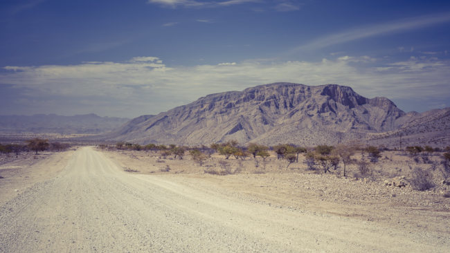 Warmquelle, Namibia - GPS -19.104858, 13.742633 - Sony A7III + SONY FE 24-105mm, F4 G OSS - 53mm - 1/200 - f/8.0 - ISO100