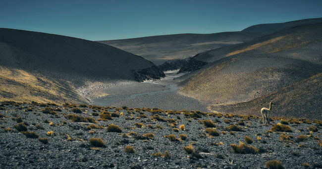 Culampajá, Argentina - GPS -26.732088, -66.999980 - Sony A7III + SONY FE 24-105mm, F4 G OSS - 103mm - 1/1250 - f/8.0 - ISO1250