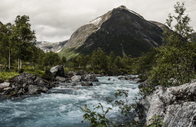 Skjelbostad, Norway - GPS 62.373927, 7.557163 - Panasonic GH4 + Panasonic Lumix G Vario 12-35mm/2,8 OIS - 38mm - 1/800 - f/2.8 - ISO100
