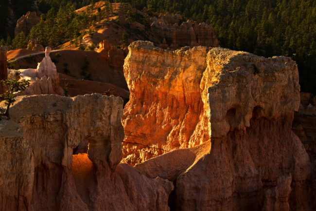 Bryce Canyon, United States - GPS 37.622517, -112.165862 - Canon EOS 7D + Canon EF 70-200mm f/4 USM L IS -  - 1/40 - f/6.3 - ISO100
