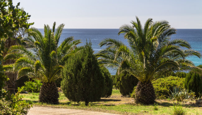 Campionna, Italy - GPS 38.903158, 8.786722 - Canon EOS 1100D + Tamron AF 17-50mm 2,8 XR Di II LD ASL -  - 1/800 - f/2.8 - ISO100