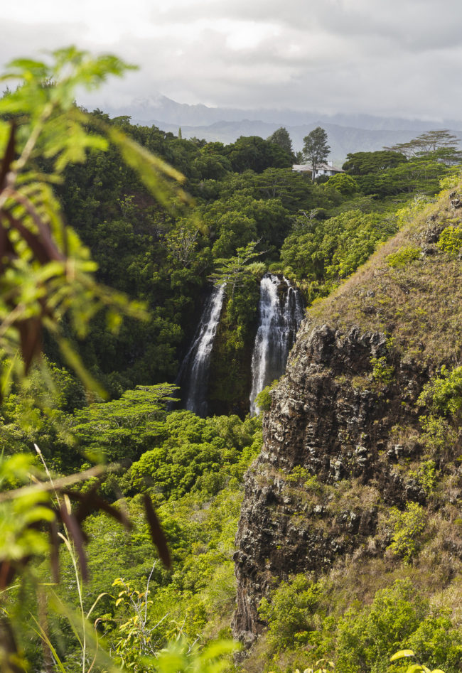 Wailua, United States - GPS 22.046512, -159.358408 - Canon EOS 7D + Sigma 17-50mm, F2,8 EX DC OS HSM -  - 1/100 - f/4.5 - ISO100