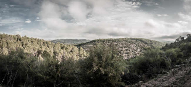 Pantalica, Italy - GPS 37.129045, 15.033228 - Panasonic GH4 + Panasonic Lumix G Vario 12-35mm/2,8 OIS - 18mm - 1/125 - f/5.0 - ISO200