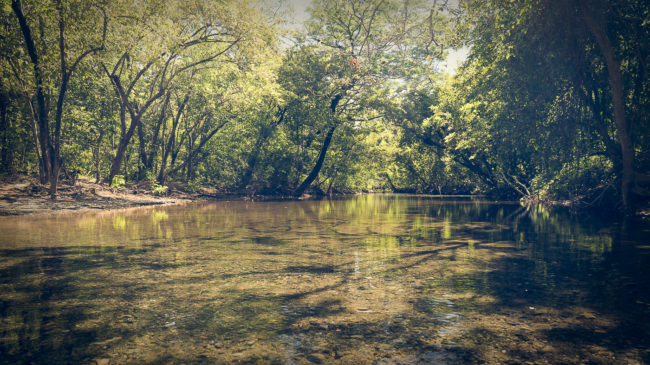 Hacienda Murciélago, Costa Rica - GPS 10.917997, -85.716828 - Panasonic Lumix DMC-GH5 + Panasonic Lumix G Vario 12-35mm/2,8 OIS - 24mm - 1/125 - f/2.8 - ISO100