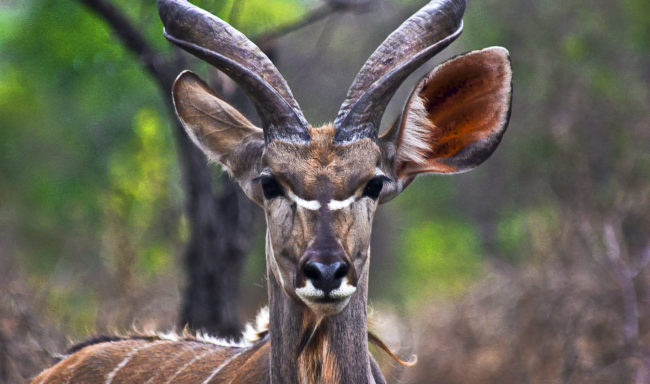 Kemps Cottage, South Africa - GPS -25.135028, 31.555482 - Canon EOS 20D + Canon EF-S 17-85mm f/4-5.6 IS USM -  - 0/1 - f/8.0 - ISO100