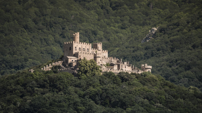 Cantallops, Spain - GPS 42.425967, 2.954377 - Panasonic Lumix DMC-GH5 + LEICA DG 100-400/F4.0-6.3 - 528mm - 1/60 - f/5.5 - ISO100