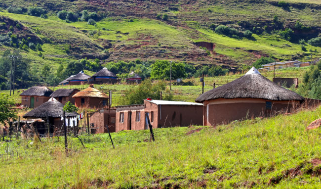 Wembesi, South Africa - GPS -29.031773, 29.813805 - Canon EOS 20D + Canon EF-S 17-85mm f/4-5.6 IS USM -  - 0/1 - f/8.0 - ISO100