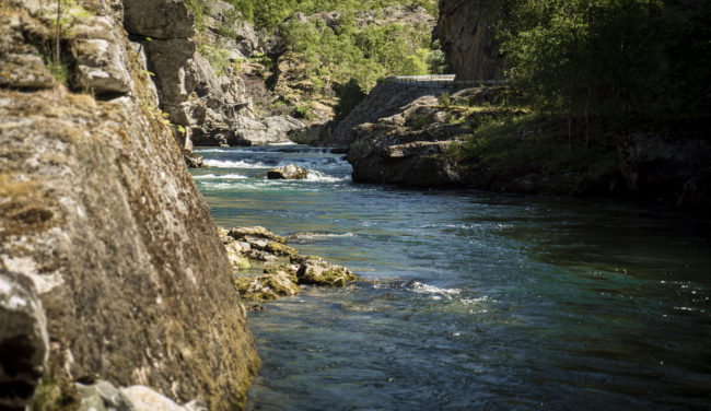 Husum, Norway - GPS 61.053593, 7.744650 - Panasonic GH4 + Panasonic Lumix G Vario 12-35mm/2,8 OIS - 70mm - 1/200 - f/2.8 - ISO100