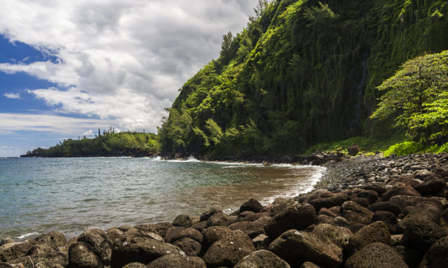 Bois Blanc, Ile De La Reunion - GPS -21.185555, 55.826680 - Canon EOS 7D + Tokina AF 11-16mm f/2.8 AT-X Pro DX -  - 1/50 - f/8.0 - ISO100