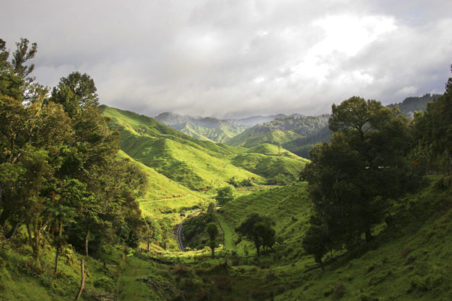 Whangamomona, New Zealand - GPS -39.141840, 174.734797 - Canon EOS 20D + Canon EF-S 17-85mm f/4-5.6 IS USM -  - 0/1 - f/8.0 - ISO100