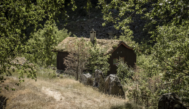 Husum, Norway - GPS 61.055752, 7.748692 - Panasonic GH4 + Panasonic Lumix G Vario 12-35mm/2,8 OIS - 70mm - 1/400 - f/2.8 - ISO100