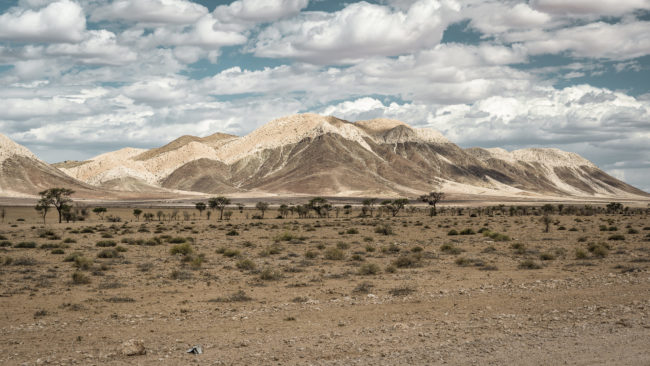 Tinkie, Namibia - GPS -23.723121, 15.878358 - Sony A7III + SONY FE 24-105mm, F4 G OSS - 61mm - 1/160 - f/8.0 - ISO100