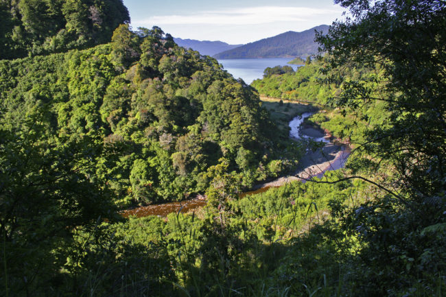Waikaremoana, New Zealand - GPS -38.743708, 177.156300 - Canon EOS 20D + Canon EF-S 17-85mm f/4-5.6 IS USM -  - 0/1 - f/8.0 - ISO100