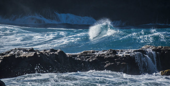 La Verada, Spain - GPS 28.813778, -17.971315 - Panasonic GH4 + Panasonic Lumix G Vario 100-300mm f4.0-5.6 OIS - 600mm - 1/2500 - f/5.6 - ISO800