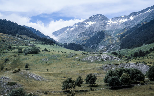 Bonabé, Spain - GPS 42.760032, 1.008148 - Panasonic Lumix GX8 + LUMIX G VARIO 12-35/F2.8 - 36mm - 1/125 - f/8.0 - ISO200