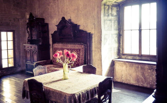 Oravský Podzámok, Slovenia - GPS 49.261898, 19.358675 - Panasonic GH4 + Panasonic Lumix G Vario 12-35mm/2,8 OIS - 34mm - 1/40 - f/2.8 - ISO200